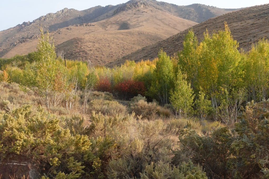 Water Canyon Recreation Area